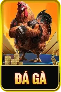 Đá gà top88 preview